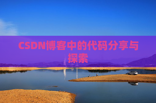 CSDN博客中的代码分享与探索